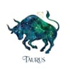 Taurus
